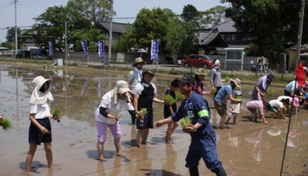 食育に最適な米作り体験を自然豊かな埼玉県加須市で。四季を感じる稲作農業。収穫したお米が美味しい！ 埼玉県加須市 誠農社