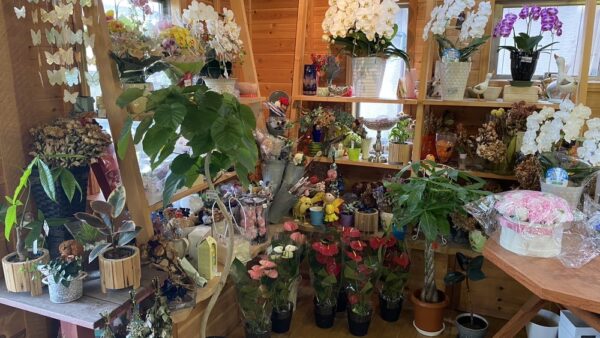 木のぬくもりに癒される。栗橋駅「フラワーパレット」でお家に飾りたくなるお花選び