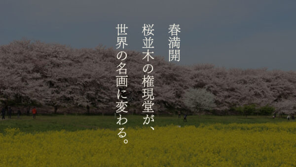 【権現堂公園×葛飾北斎風×川瀬巴水風】春の絶景が、二つの浮世絵世界に生まれ変わる
