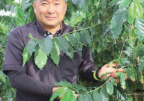 埼玉県初珈琲栽培に挑戦