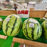菖蒲町の魅力発見！「菖蒲グリーンセンター」で出会った旬の味