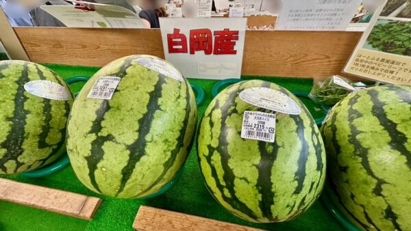 菖蒲町の魅力発見！「菖蒲グリーンセンター」で出会った旬の味