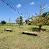 【菖蒲】三崎の森公園はベビーカーでも安心の散策スポット