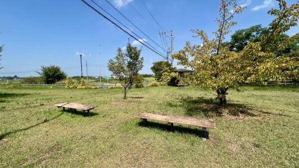 【菖蒲】三崎の森公園はベビーカーでも安心の散策スポット